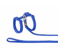 Nobby Gatto Set Nylon, Blu
