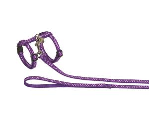 Nobby giacca per gatti "DOTS" viola