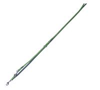 Nobby guinzaglio "Classic Preno" Mini verde; L: 200 cm; B: 10 mm