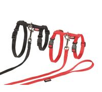 Nobby Katzengarnitur XL rossa