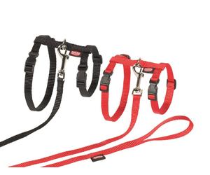 Nobby Katzengarnitur XL rossa