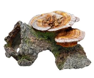 Nobby Legno Grotta con Funghi Ornamenti per Acquario, 18 x 19 x 10 cm