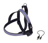 Nobby Norvegese Cani LED Collare Flash Mesh Blu, Diverse Taglie, NUOVO