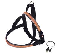 Nobby Norvegese Collare Flash Mesh Arancione, Riflettente, USB, Per Cani