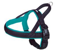 Nobby Norvegese Collare Mesh Preno Turchese Per Cani, Imbottito, Regolabile