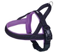 Nobby Norvegese Collare Mesh Preno Viola Per Cani, Imbottito, Regolabile