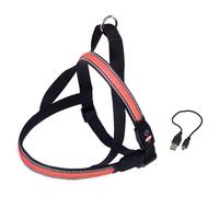 Nobby Norvegese Pettorina Flash Maglia Rosso per Cani, Sicuro & Confortevole