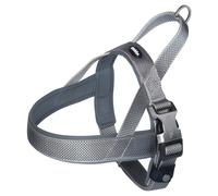 Nobby Norvegese Preno Royal Grigio Per Cani, Nylon-Neoprene, Confortevole