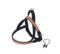 Nobby NORWEGER - Stoviglie Flash Mesh, Misura XL, 80-100 cm + 56, Larghezza: 38 mm, Colore: Arancione