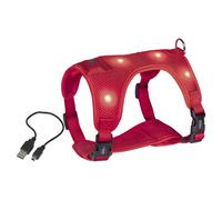 Nobby Pettorina Flash Maglia Rosso LED per Cani, Regolabile, Protezione Spruzzi