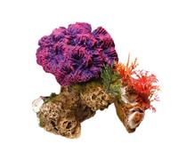 Nobby Piedra de coral con plantas para acuario, 13 x 10 x 12 cm