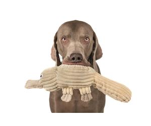 Nobby Plush Ornitorinco 44 cm