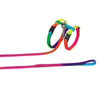 Nobby Rainbow Cat Set giocattolo