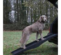 Nobby Rampe Per Cani 40x152Cm Fino A 60Kg - Giunto E Schiena Delicati