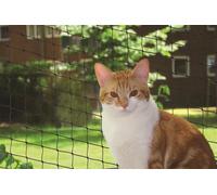 Nobby Rete di protezione per gatti L-XL 8 x 3 m nera