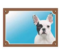 Nobby - Segnale di Avvertimento con Bulldog Francese, 12 x 3,5 cm, Colore: Giallo