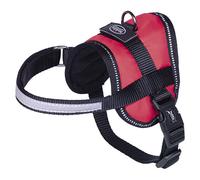 Nobby Seguro Mini Pettorina Rosso, 31-40 CM, Riflettente, Ergonomico per Cani