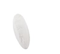 Nobby Sepia-Schalen 5-6 pollici, scatola 1 kg