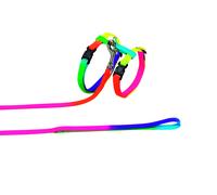 Nobby set da gatto colori arcobaleno