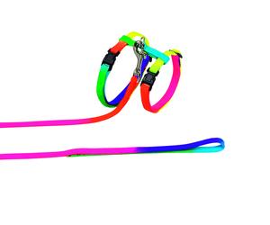 Nobby set da gatto colori arcobaleno