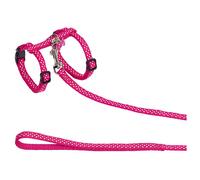 Nobby Set Per Gatti Dots Rosa Ciotola Collare In Nylon Regolabile Sicurezza