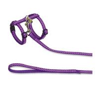 Nobby giacca per gatti "DOTS" viola