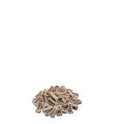 STARSNACK "Duo Lamb & Rice" (1 barattolo da 500 g)