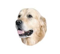 Nobby Sticker Golden Retriever