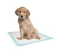 Nobby Training Pads 10 pz; XL; 90 x 60 cm