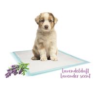 Nobby Training Pads Lavanda; 10 pz; L; 60 x 60 cm