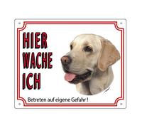 Nobby Warntafel Labrador Hell Gelb 12 x 3,5 cm