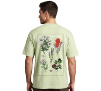 NOBERO Maglietta da uomo, Verde Aloe, 48