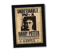 NOBLE COLLECTION - Harry Potter E I Doni Della Morte - Targa