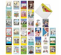 NobleWorks - Confezione assortita di 36 biglietti di compleanno divertenti assortiti con buste, umorismo spigoloso B-Day per uomini, donne (36 disegni, 1 ciascuno) - Compleanno preferito