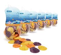 Nobleza Conchiglie Capesante Colorate Naturali per Acquario 3-5cm 6 Pezzi