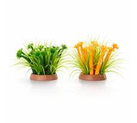 Nobleza Corallo Fluorescente per Acquario Silicone e Gomma 15x9cm 6 Pezzi
