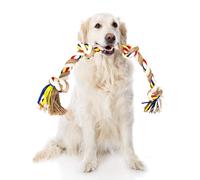 Nobleza - Corda giocattolo per cani in 100% cotone, benefica per la salute menta