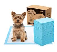 Nobleza Tappetini Igienici per Cani, 40x60cm Traversine Cani 100 Pezzi Super Assorbenti Tappetino Cane, Design a Prova di Perdite a 5 Strati Traverse Cani