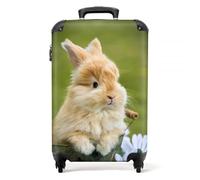 NoBoringSuitcases.com® Valigia per Bambini, Valigie con Ruote, Valigia Cabina Bambino, Valigie da Viaggio, Bagaglio a Mano (Coniglio - Verde, 55x40x20-10kg)
