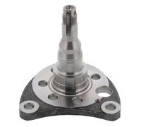 Nocca , Sospensione Ruota Asse Posteriore Sinistro per Seat, Per VW