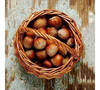 nocciola - giardino interni resistenti giardino balcone interni resistenti 120pcs