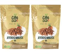 Noccioli di Albicocca Biologici - 250g. Noccioli o Semi di Albicocca Amari e Crudi da Albicocche Selvatiche contiene Vitamina B17. Armelline Amare. (Confezione da 2)
