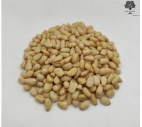 Noccioli di Pinoli Essiccati 40g - 1,95Kg Naturali e Molto Freschi