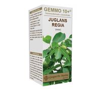 Dr. Giorgini GEMMO 10+ NOCE 100 ML LIQUIDO ANALCOLICO