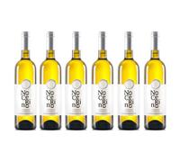 Nocerino 6 FALANGHINA Campania IGP Nocerino Vini 2023