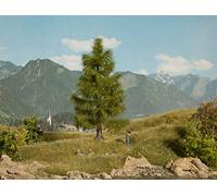 Noch 0021816 albero abete rosso 145 mm 1 pz