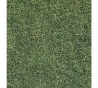 NOCH 07102 Erba selvatica Verde chiaro