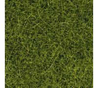 NOCH 07112 Erba selvatica KL Verde chiaro