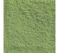 NOCH 07202 Floccato per decorazione terreni e alberi Verde chiaro