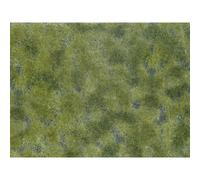 NOCH 07250 Tappeto erboso Cura del verde Verde medio